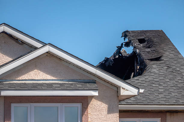 Top rated local Fire Damage Removal specialists in Harris, MN